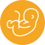 Icono de embrión